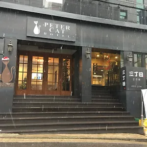 Petercat Shinchon Hotel